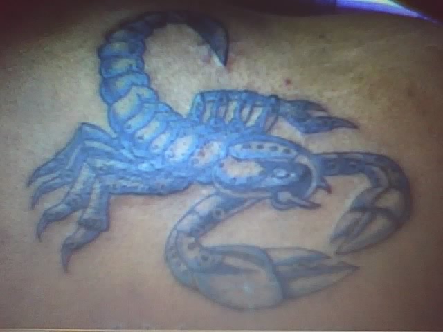 scorpion tattoo on black chick