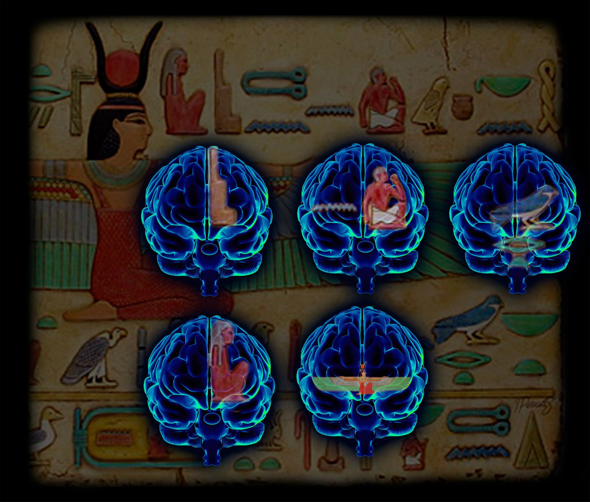 Hieroglyph brain dimensions