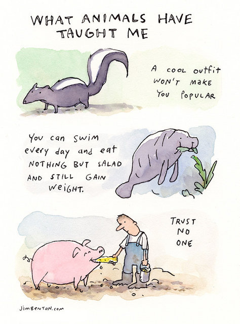 What Animals Have Taught Me