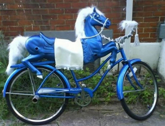 A Horse Bike