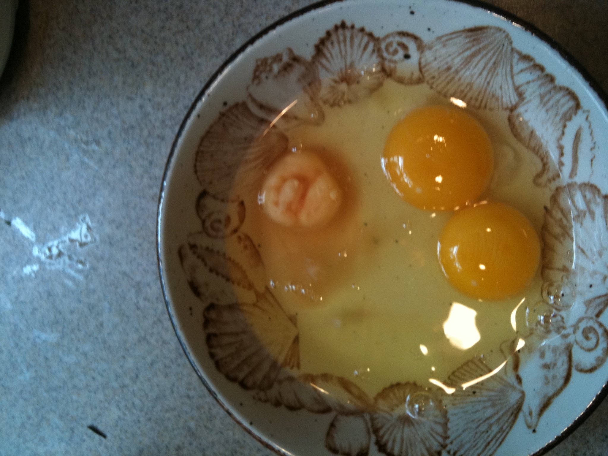 Ugg I was cracking eggs for breakfast one day and this is what came out!!