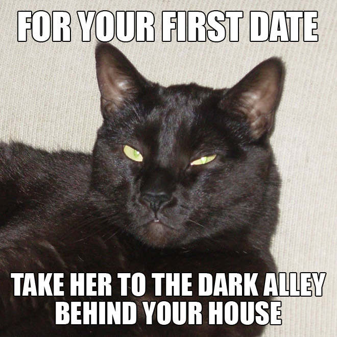 Dating Advice From Animals