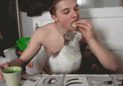 37 Gifs For The End Of 2013