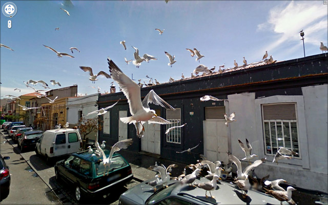 Funny Interesting Google Street Views Found