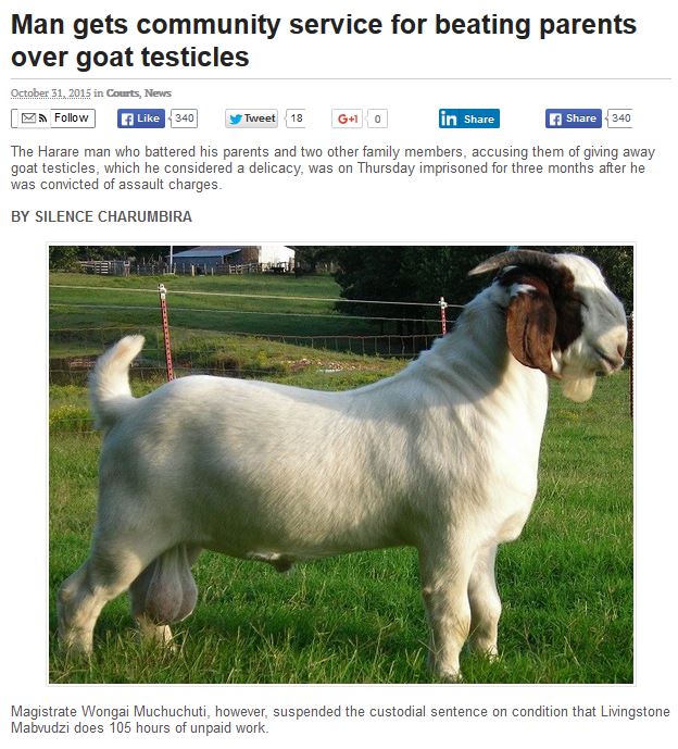 9 headlines about testicles for the month of October