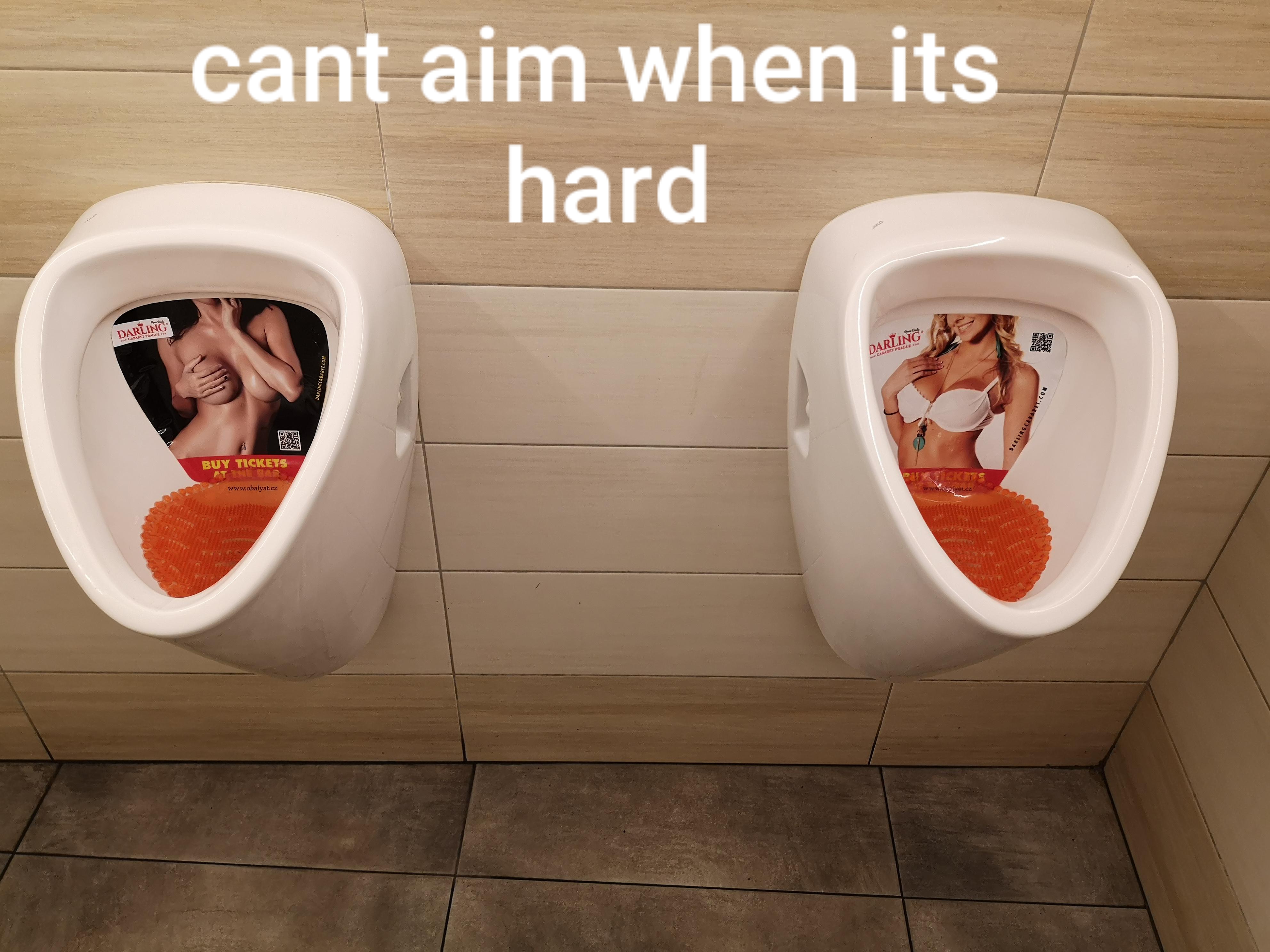 toilet seat - cant aim when its hard