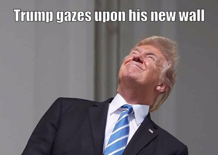 Trump gazes upon his new wall