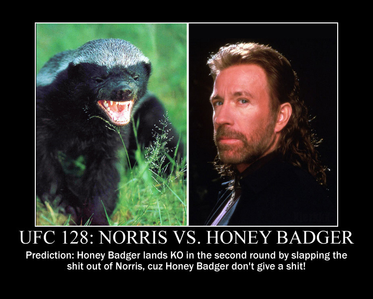 UFC 128 Main Event: Chuck Norris vs. Honey Badger!
Rumors are that Honey Badger has been eating lots of snakes in preparation for this fight and after he eats snakes, he passes out and eats more snakes.
My prediction is that Honey Badger will win by KO in the 2nd round by slapping the shit our of Chuck Norris, because Honey Badger doesn...'t give