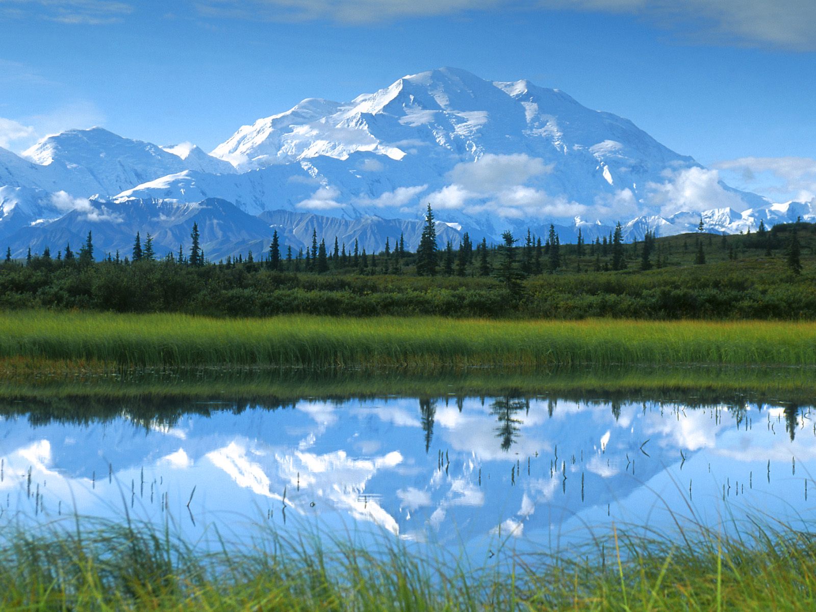 Mount Denali ( means, "Mount The Big One" )