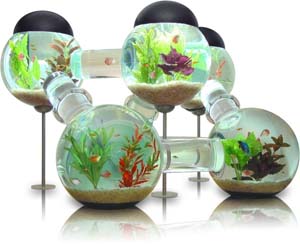 Labyrinth Aquarium 6,500.00 Give your home some real character and show off your fish with the Labyrinth Aquarium. This Labyrinth Aquarium is designed for tropical fish and includes lights, filters, air pumps, cleaning supplies, and makes a cool gift idea for any home.