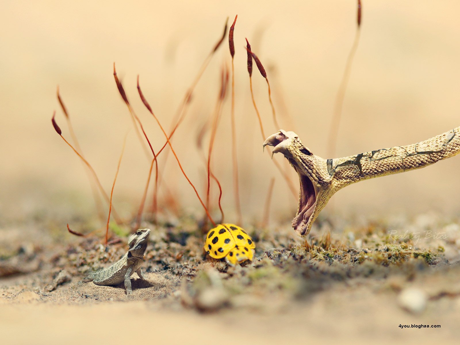 Saturday Afternoon Photo Dump