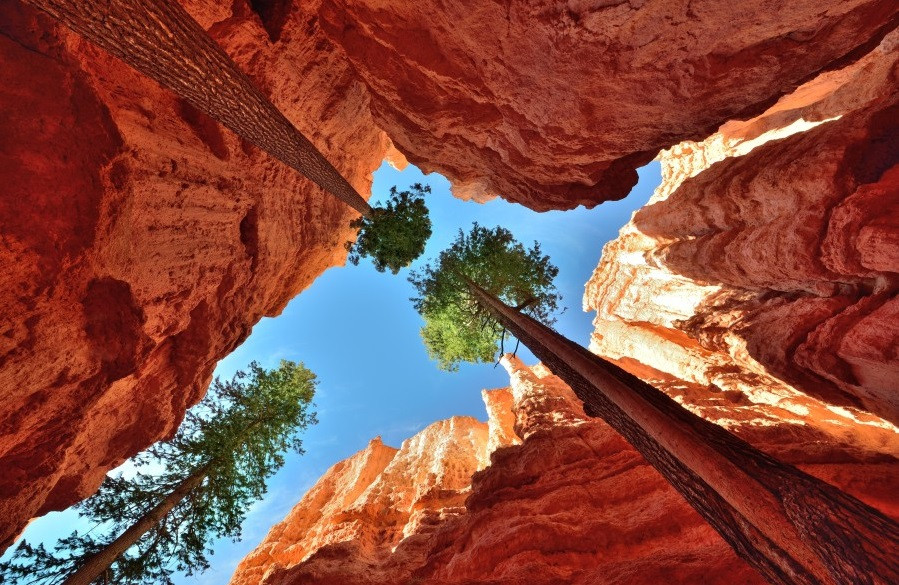 Saturday Afternoon Photo Dump