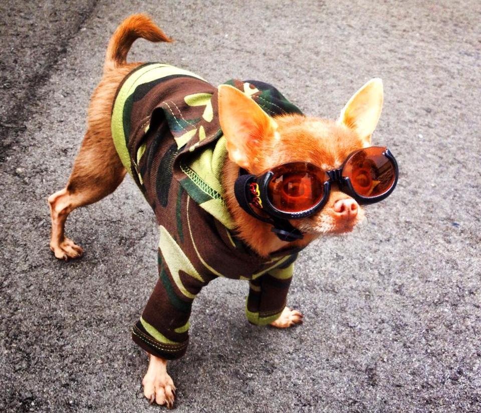 Saturday Afternoon Photo Dump