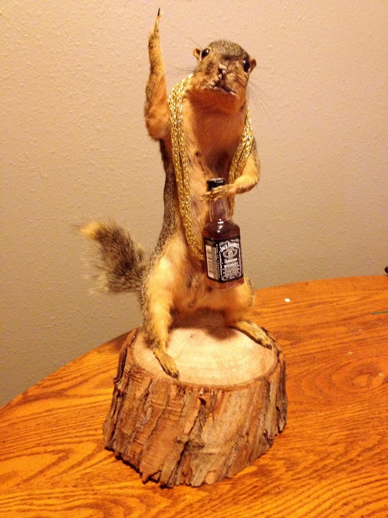 I Would Take Home All 3 of Them, Random Photo Gallery