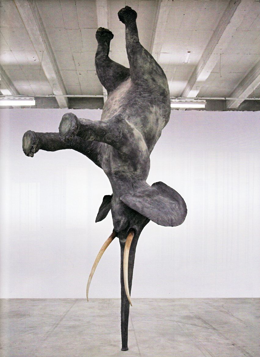 I Would Take Home All 3 of Them, Random Photo Gallery