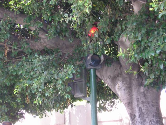 I Would Take Home All 3 of Them, Random Photo Gallery