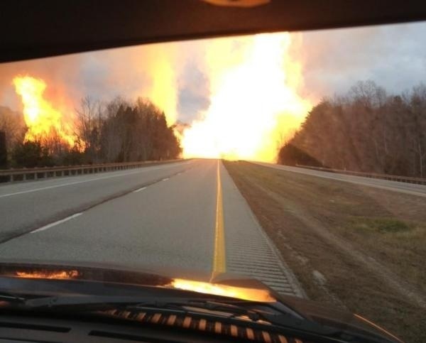 I Would Take Home All 3 of Them, Random Photo Gallery