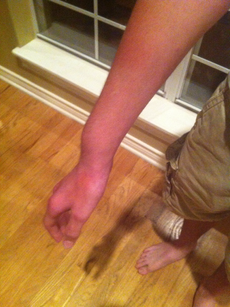 I Would Take Home All 3 of Them, Random Photo Gallery