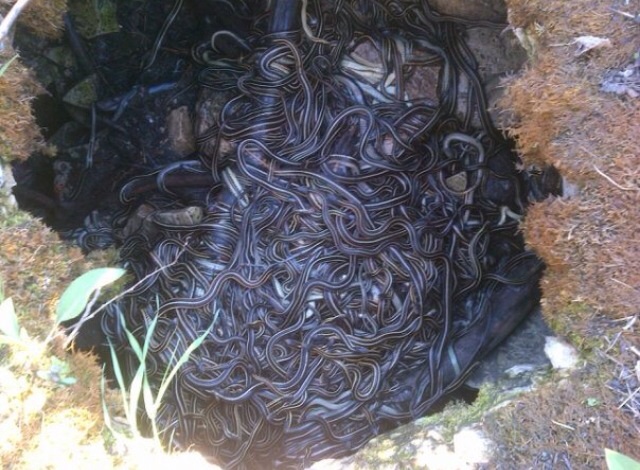 I Would Take Home All 3 of Them, Random Photo Gallery