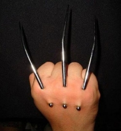 Don't fuck with the wolverine Bitch