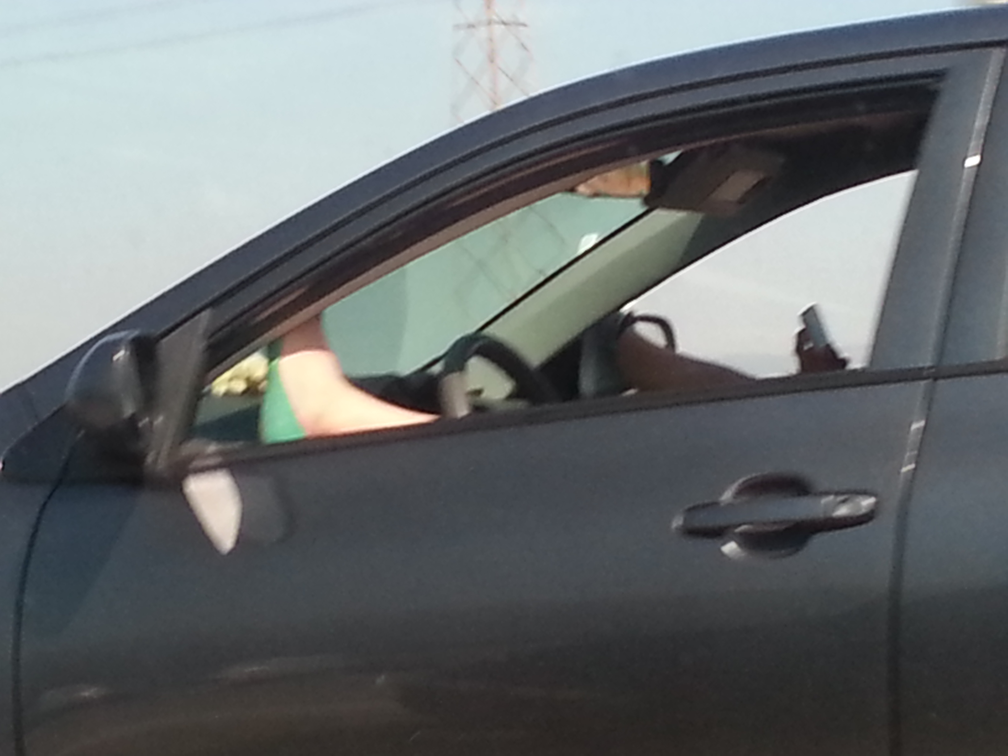 Weird Couple on freeway