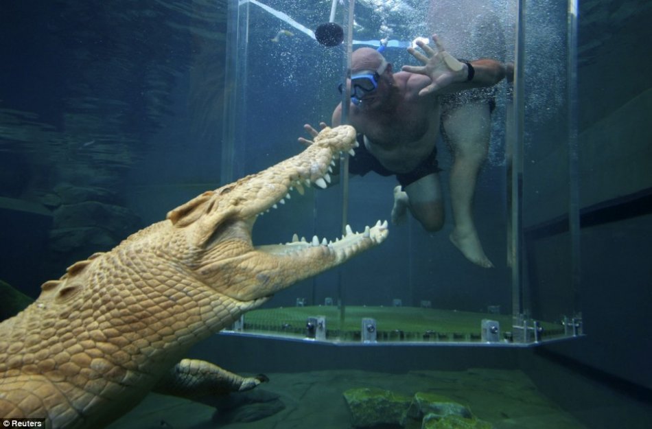 Dive With a Huge Croc