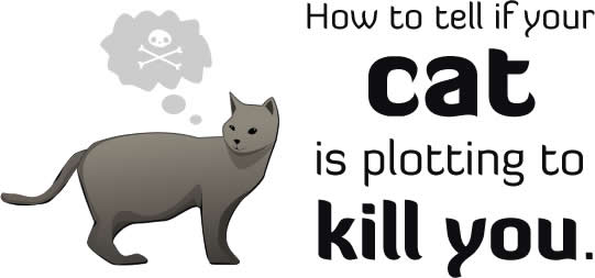 How to tell if your cat is trying to kill you.