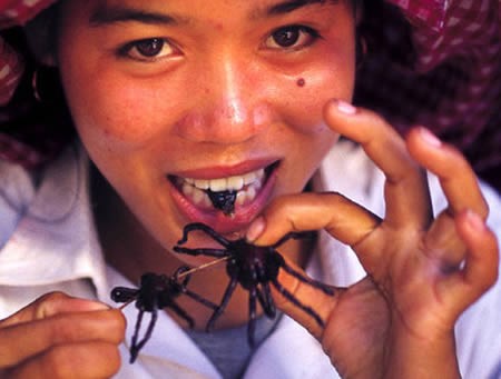 Tarantulas, eaten in Cambodia