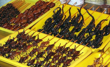 Beetles, eaten in China