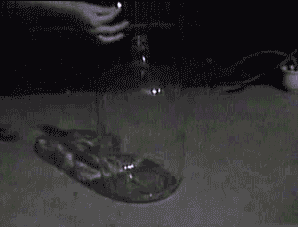 Flammable fluid in a glass jug.