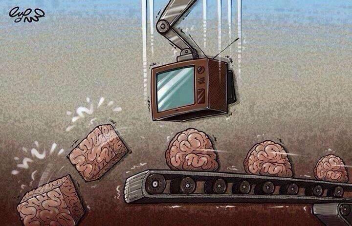your brain on tv - lymo