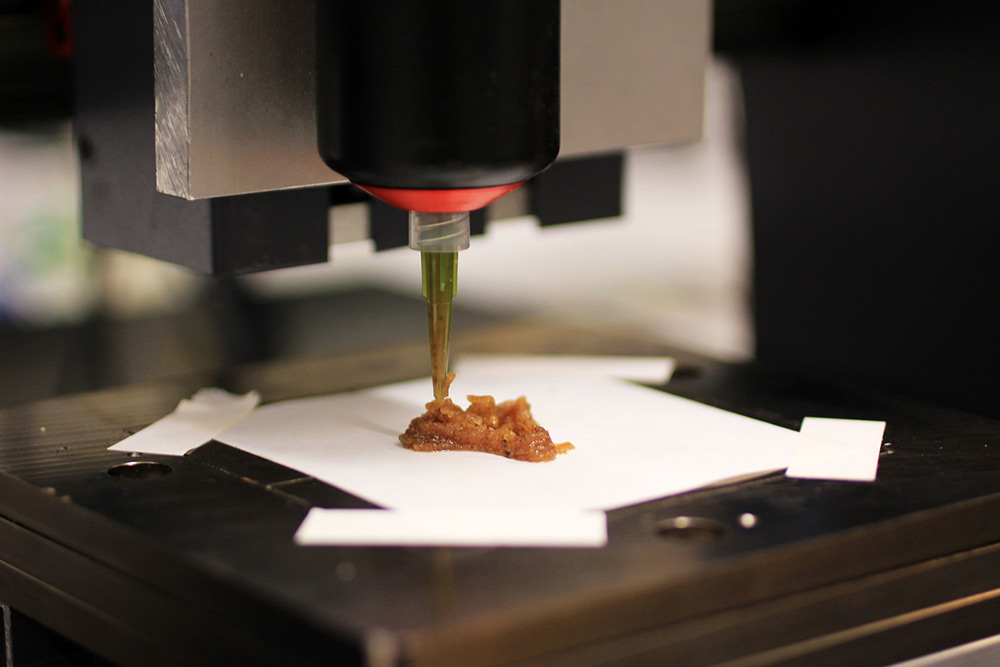 Edible Growth is about 3D printing with living organisms.