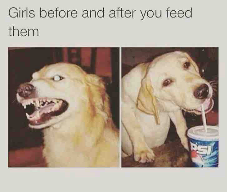 girls when they re hungry - Girls before and after you feed them