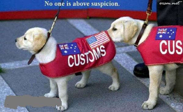 everyone is under suspicion