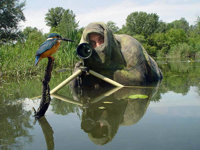 behind the scenes of wildlife photography