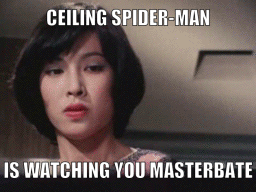 ceiling spider-man