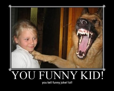 funny dogs!