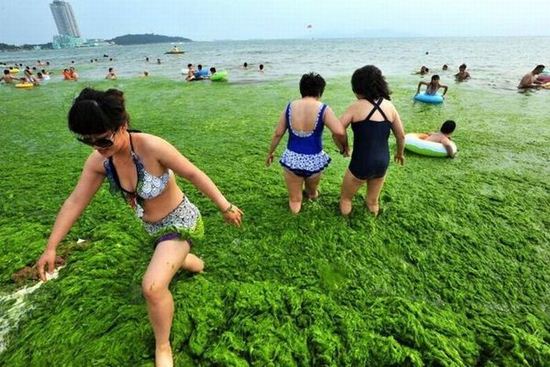 Chinese Beach Turns Green