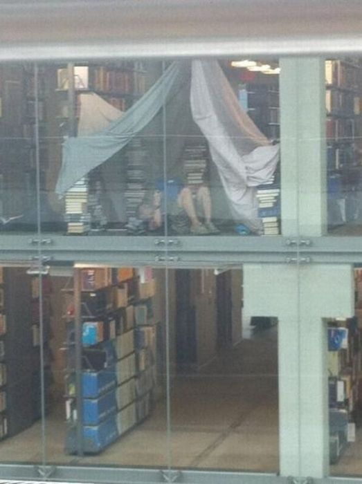 Homeless?  The library is always open