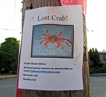 Funny Lost And Found Missing Posters