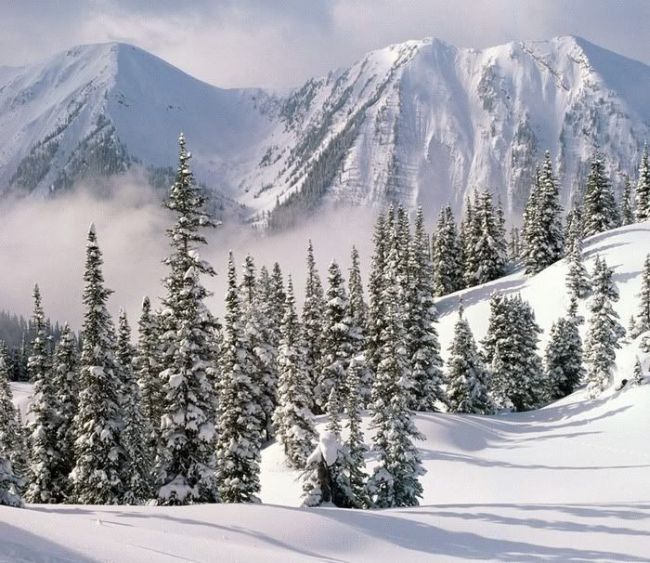 Beautiful Snowy Mountains