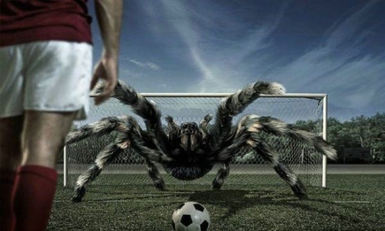 random pic spider soccer goal