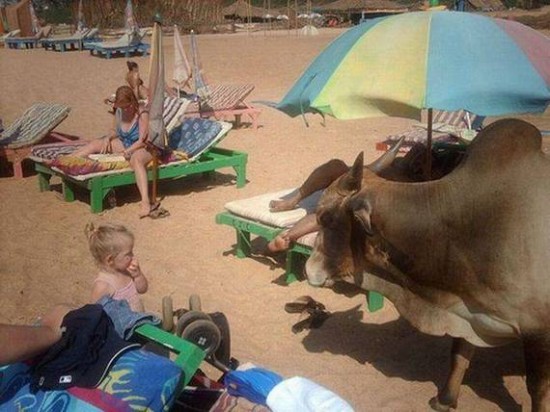 Embarrasing Day At The Beach