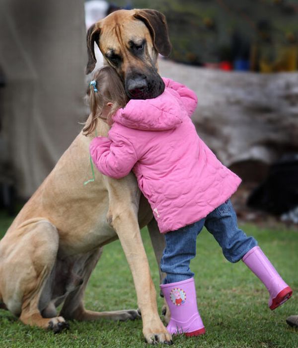 dog hug little girl