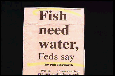 times font - Fish need water, Feds say By Phil Hayworth While conservation groups and others wel