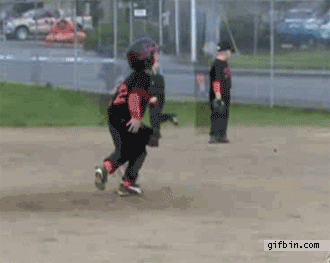 Outrageous Baseball GIFs and 1 Pic