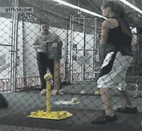 Outrageous Baseball GIFs and 1 Pic