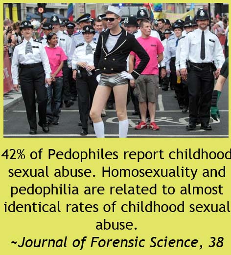 community - 42% of Pedophiles report childhood sexual abuse. Homosexuality and pedophilia are related to almost identical rates of childhood sexual abuse. Journal of Forensic Science, 38