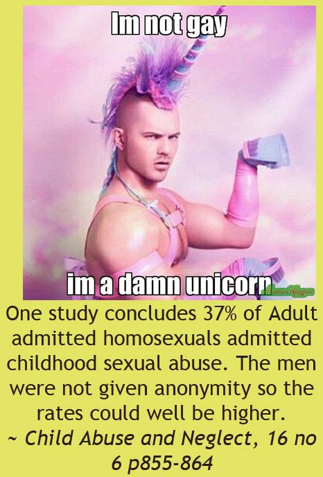 happy birthday kimberly meme - Im not gay im a damn unicorn One study concludes 37% of Adult admitted homosexuals admitted childhood sexual abuse. The men were not given anonymity so the rates could well be higher. ~ Child Abuse and Neglect, 16 no 6 p8558