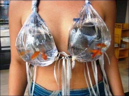 Weird and funny bra's - Gallery